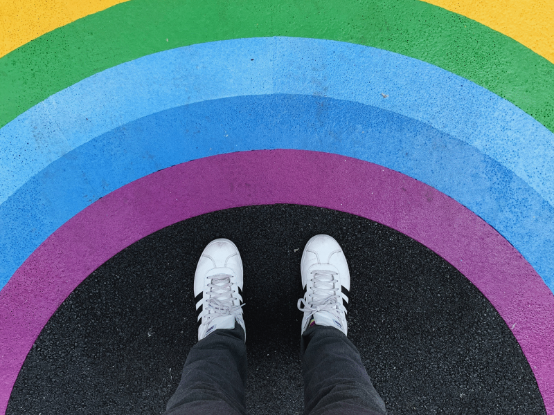 Berdindu-zerbitzua-web